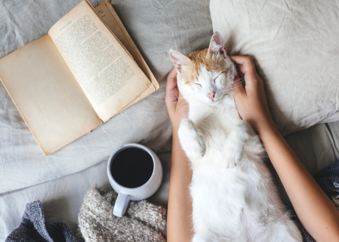 Shelf Care Bingo Colchester East Hants Public Library shelf-care-bingo-colchester-east-hants-public-library