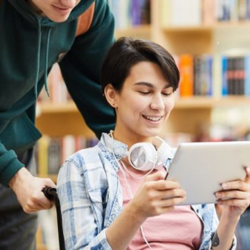 Accessibility Plan Accepted by Library Boards