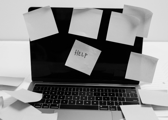 Untitled design (41)