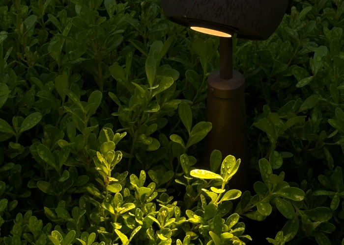 Garden Light Catchers